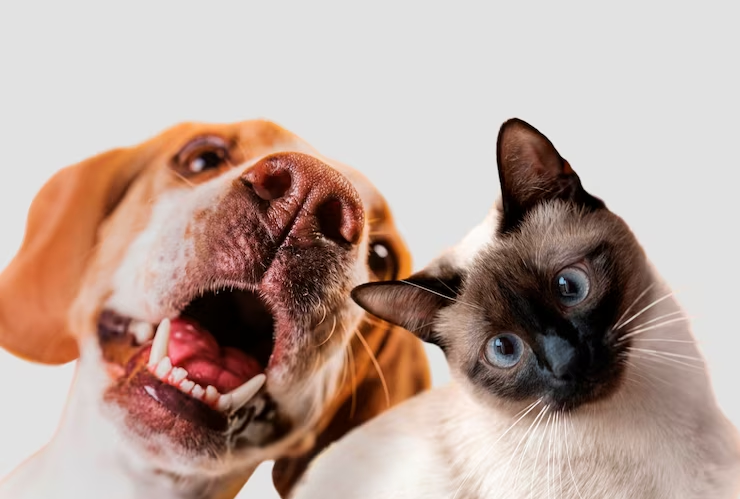 佰越航服物流深耕航空托运数十年，2023年蓄势待发！