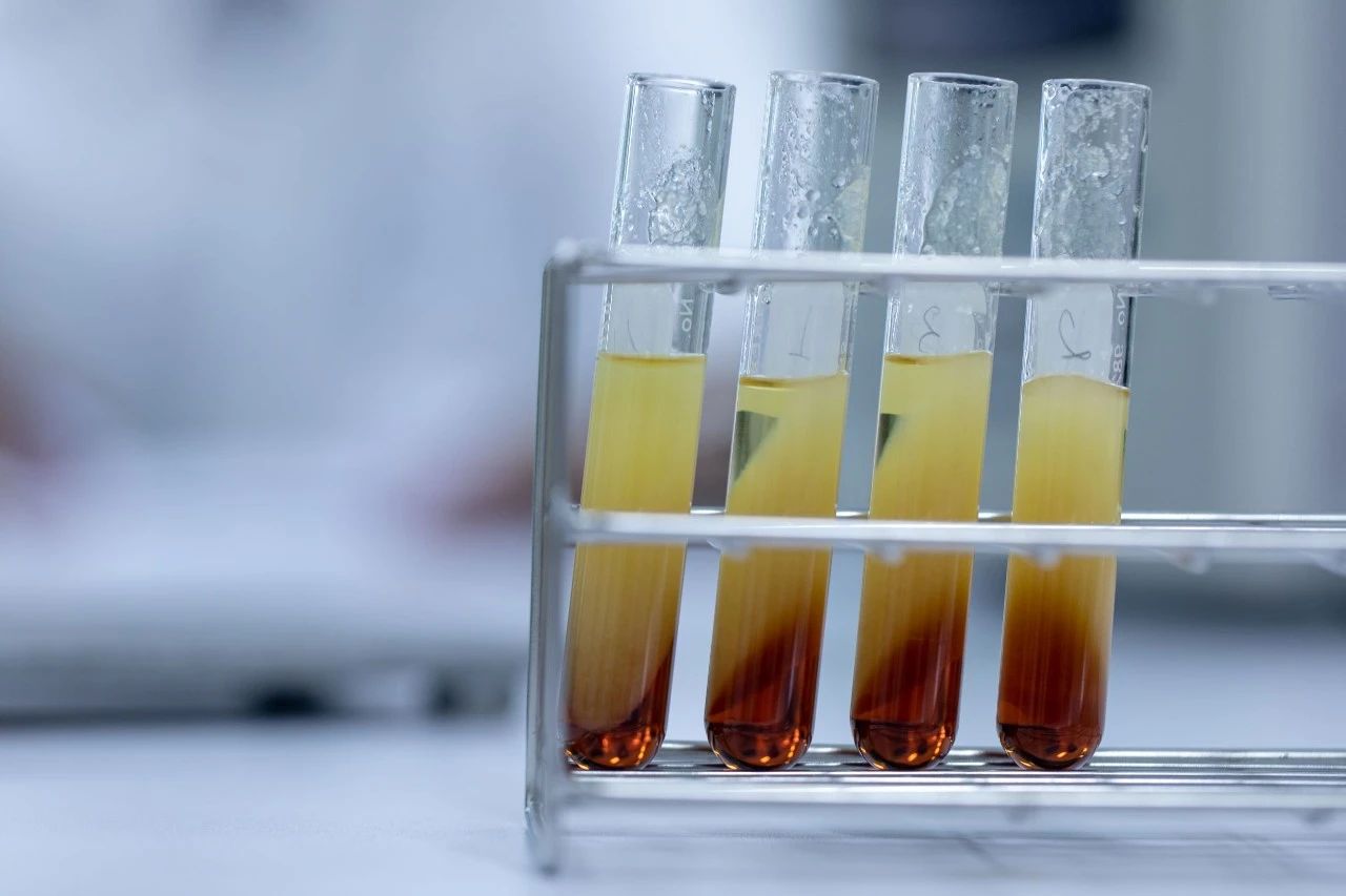 国际航协：北亚区航空市场展望