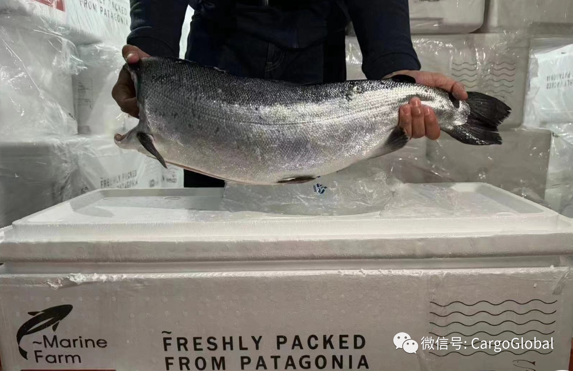 东航物流迈出物贸一体化重要一步 1 东航物流迈出物贸一体化重要一步