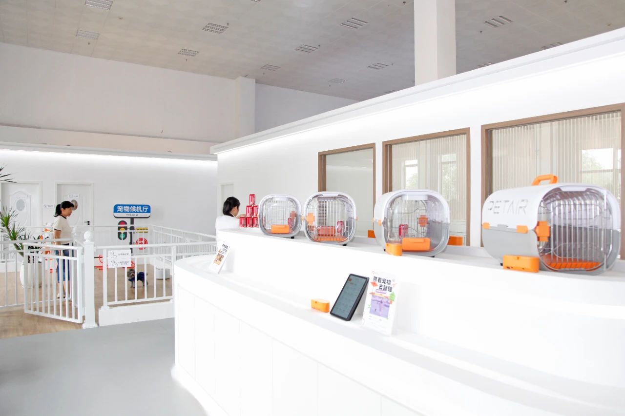 全国首家宠物候机厅在深圳机场启用
