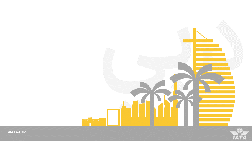 国际航协: 2024年航空公司盈利前景改善 净利润305亿美元