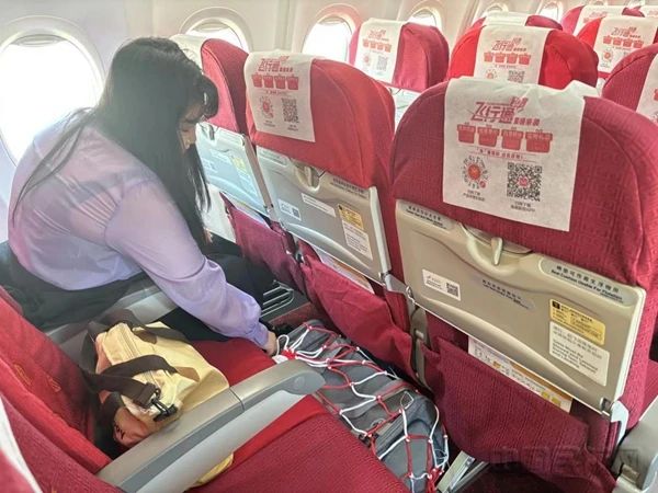 带宠物乘机其实没那么难