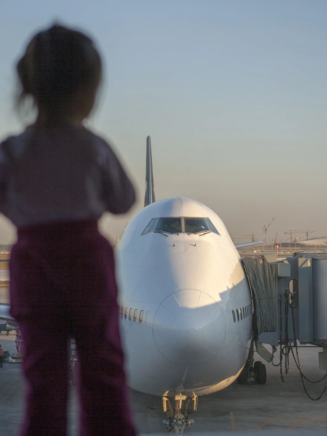 国际航协: 2024年航空公司盈利前景改善 净利润305亿美元