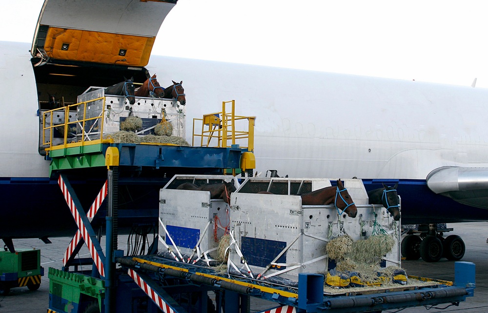 IATA:航空货运需求攀升,关税政策成短期影响因素 1 IATA:航空货运需求攀升,关税政策成短期影响因素