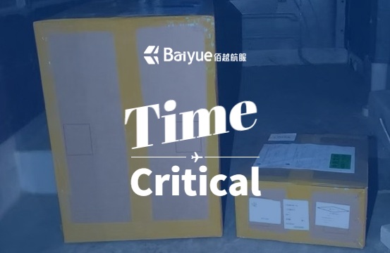 NFO 紧急运输案例｜10分钟极速报价，精准抵达布达佩斯