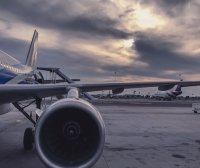 怎么选择一家靠谱的实验小鼠运输公司？