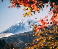 日本Hand Carry服务，手提货运输从中国到日本