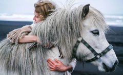 Live Animals - Air Cargo's VIP Passengers