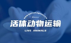 活体动物运输：航空运输中的VIP乘客！
