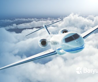 上海宠物入境进口报关报检流程