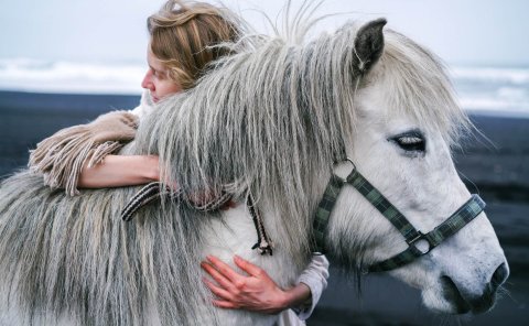 Live Animals - Air Cargo's VIP Passengers