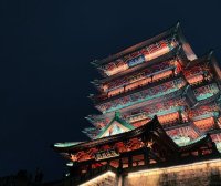 江西南昌Hand Carry手提急件运输服务公司电话