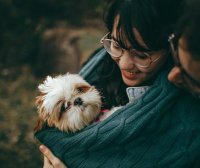 2024年怎么带宠物移民美国，详细指南