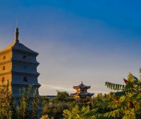 西安Hand Carry手提急件运输服务公司电话