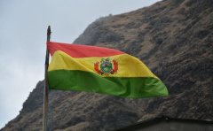 Pet Relocation Service to China from Bolivia
