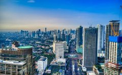 Pet Relocation Service to China from Indonesia