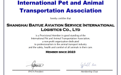 佰越航服国际物流荣获IPATA认证，为宠物运输树立全新标杆