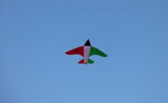 Pet Relocation Service to China from Kuwait