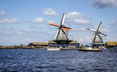 Pet Relocation Service to China from Netherlands