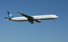 Pet Relocation Service to China from New Zealand