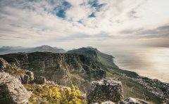 Pet Relocation Service to China from South Africa