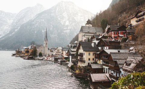 Pet Relocation Service to China from Austria