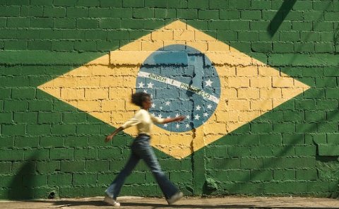 Pet Relocation Service to China from Brazil