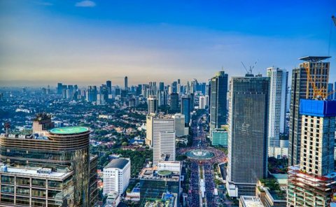 Pet Relocation Service to China from Indonesia