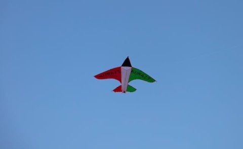 Pet Relocation Service to China from Kuwait