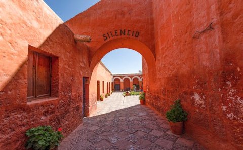 Pet Relocation Service to China from Peru