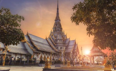 Pet Relocation Service to China from Thailand