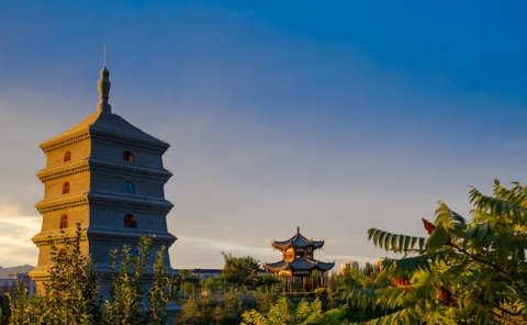 西安Hand Carry手提急件运输服务公司电话