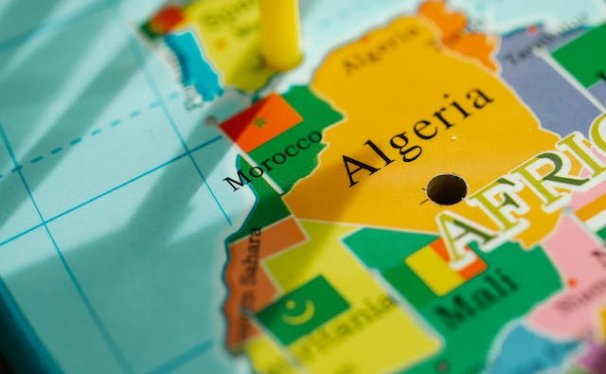 Pet Relocation Service to China from Algeria