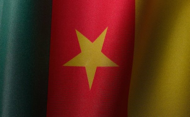 Pet Relocation Service to China from Cameroon