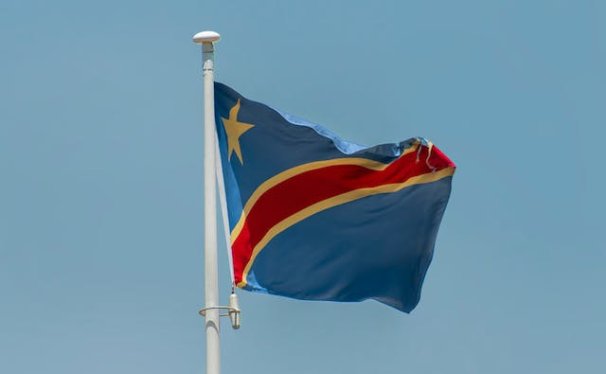 Pet Relocation Service to China from Congo