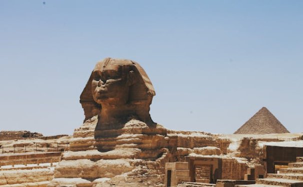 Pet Relocation Service to China from Egypt