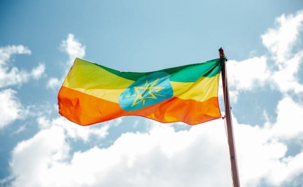 Pet Relocation Service to China from Ethiopia