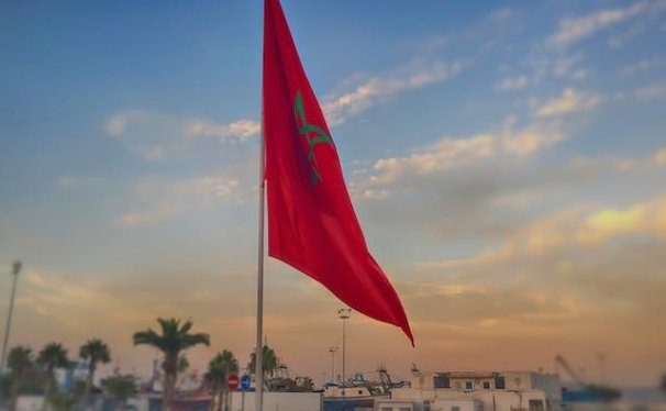 Pet Relocation Service to China from Morocco