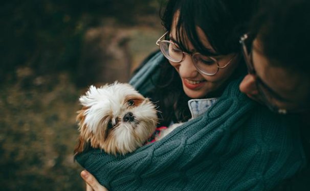 How to bring pet to CHINA from the USA?
