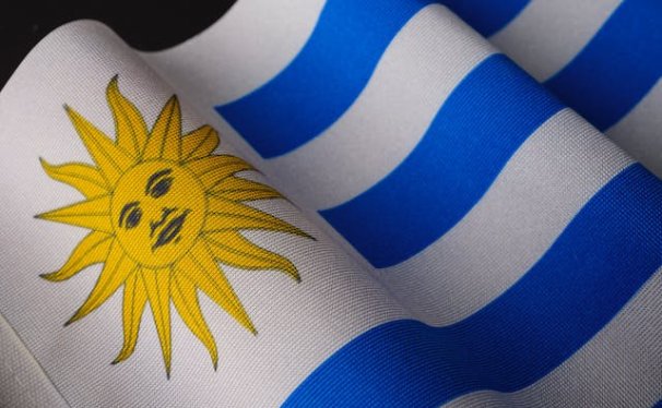 Pet Relocation Service to China from Uruguay