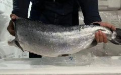 东航物流迈出物贸一体化重要一步