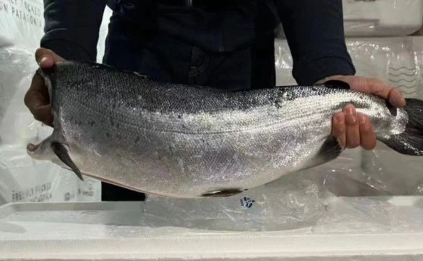 东航物流迈出物贸一体化重要一步