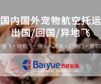 想要带宠物回国必看的宠物托运办理流程