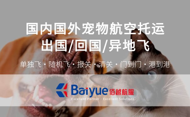 2025年怎么把宠物猫狗带回国内，宠物回国流程指南