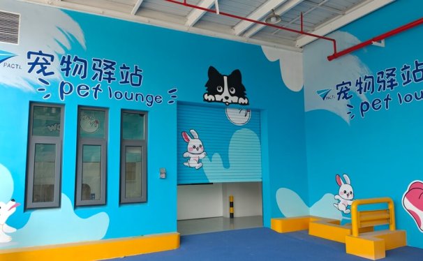Baiyue Logistics and PACTL Join Hands to Upgrade International Pet Shipping Services