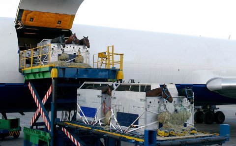 IATA:航空货运需求攀升,关税政策成短期影响因素