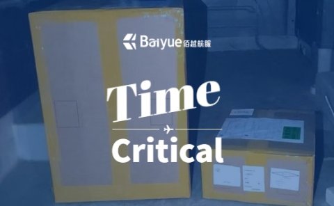 NFO 紧急运输案例|10分钟极速报价,精准抵达布达佩斯