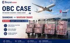 案例展示：48箱紧急货物上海至华沙（WAW）极速交付 - 大批量 OBC / Hand Carry 紧急运输解决方案
